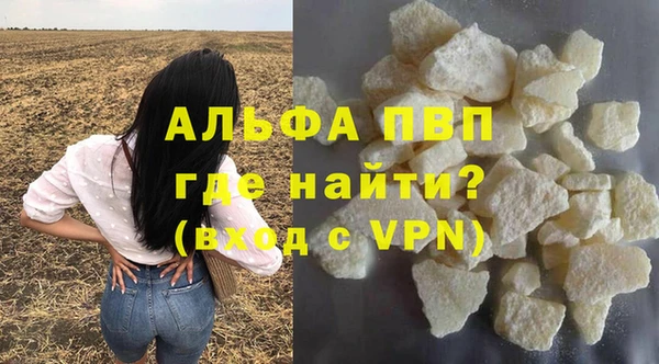 дживик Козельск