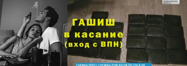 дживик Козельск
