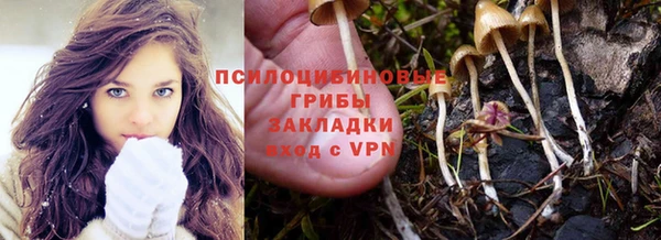 mdma Козловка