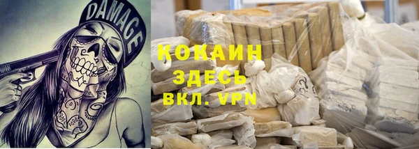 дживик Козельск