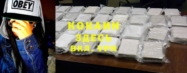 дживик Козельск